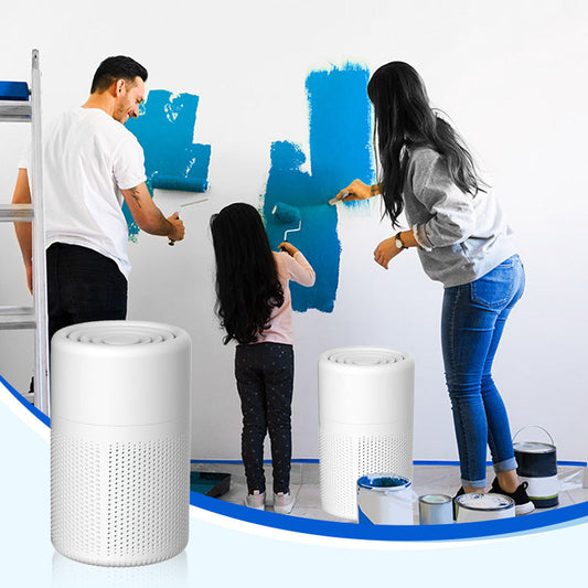 Domowy oczyszczacz powietrza usuwający formaldehyd